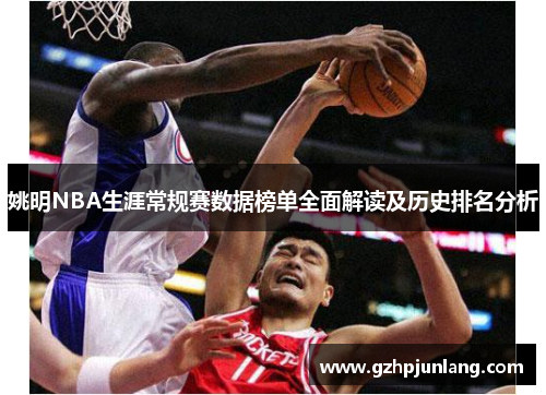 姚明NBA生涯常规赛数据榜单全面解读及历史排名分析