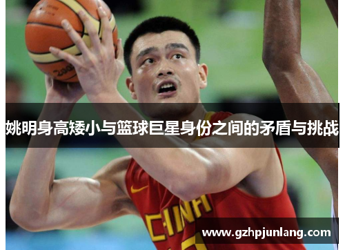 姚明身高矮小与篮球巨星身份之间的矛盾与挑战