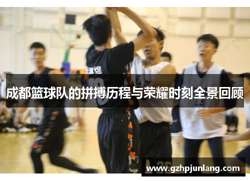 成都篮球队的拼搏历程与荣耀时刻全景回顾